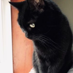 Meet your Posher, Abbey